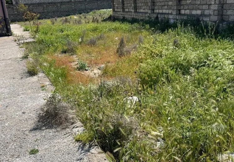22 sot Torpaq Satılır, Mərdəkan, Xəzər, Bakı
