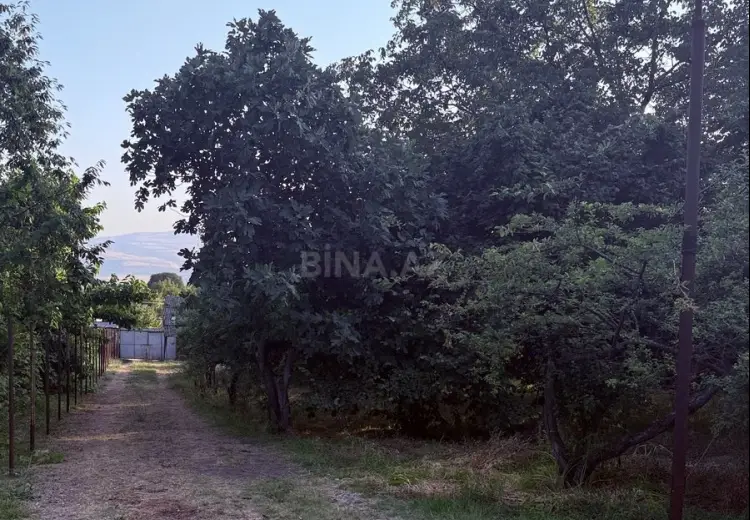 15 sot Torpaq Satılır, İsmayıllı