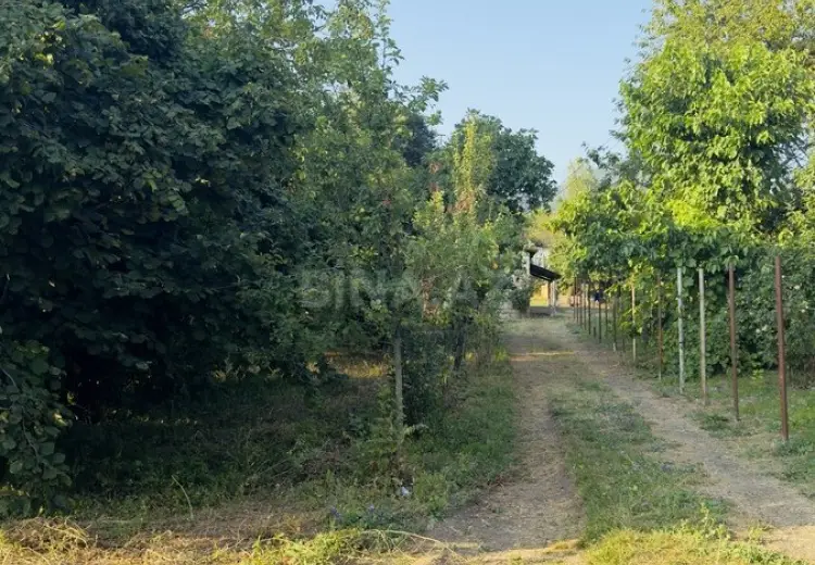 15 sot Torpaq Satılır, İsmayıllı