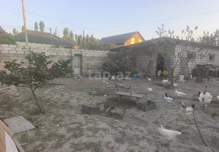0 m² Obyekt / Ofis , Xaçmaz