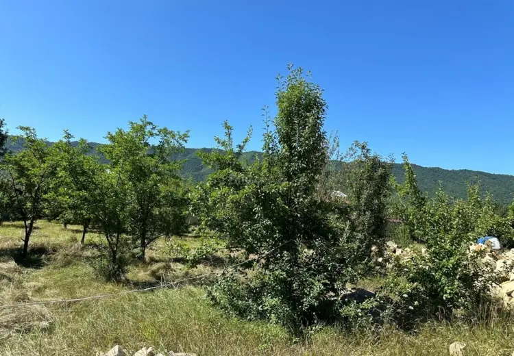 18 sot Torpaq Satılır, Qusar