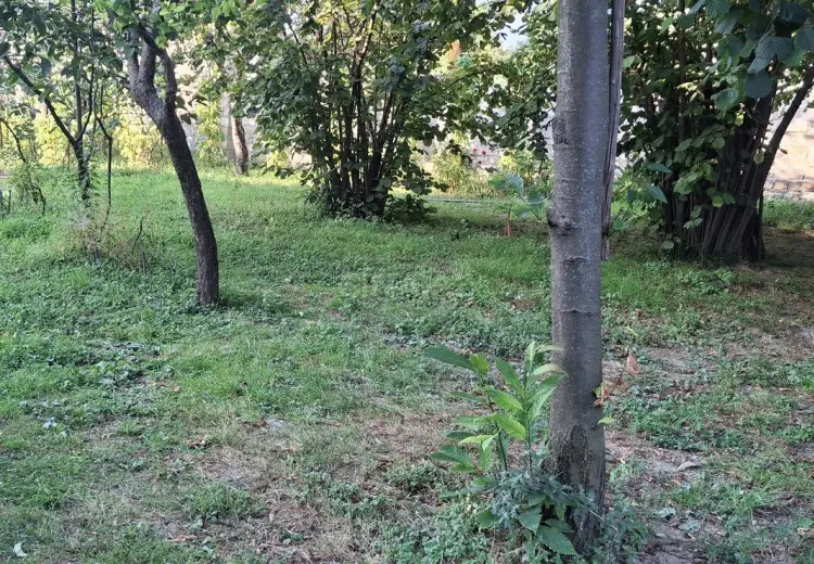14 sot Torpaq Satılır, Qəbələ