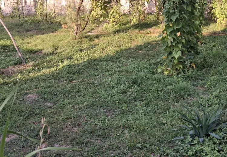 14 sot Torpaq Satılır, Qəbələ