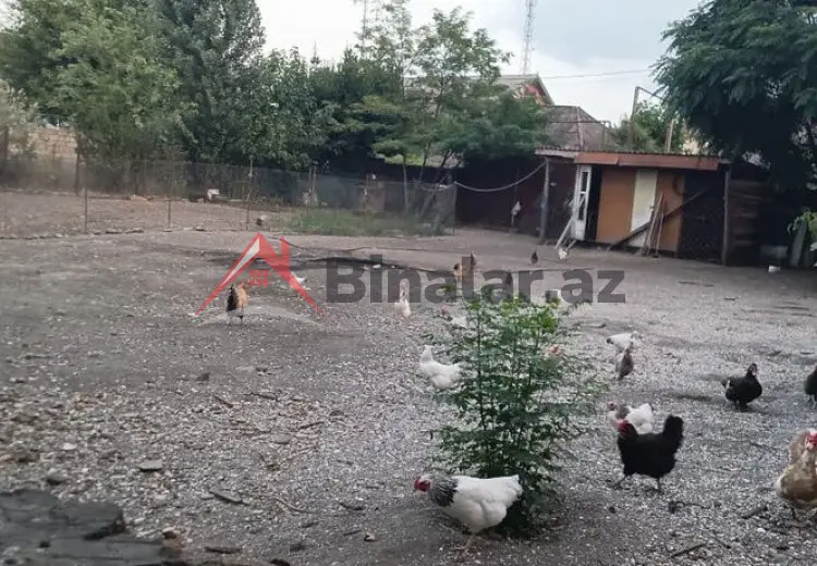 3 sot Torpaq Satılır, Astara