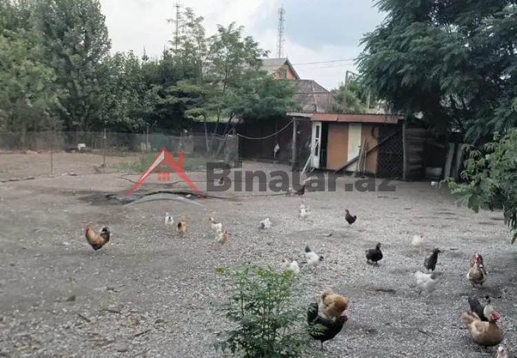 3 sot Torpaq Satılır, Astara