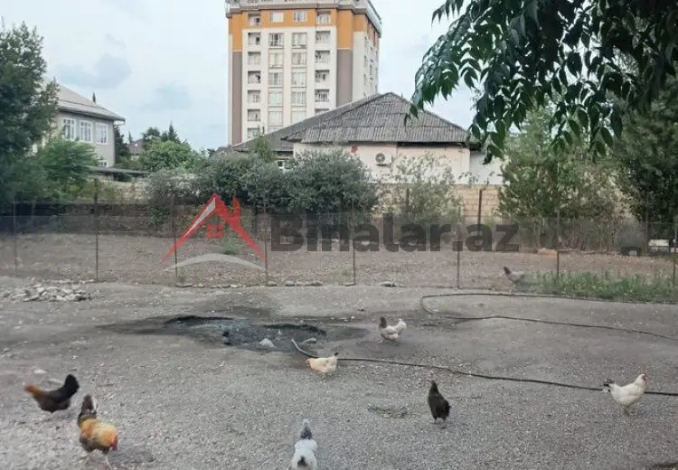 3 sot Torpaq Satılır, Astara