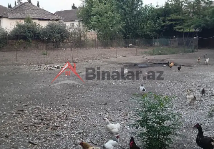 3 sot Torpaq Satılır, Astara