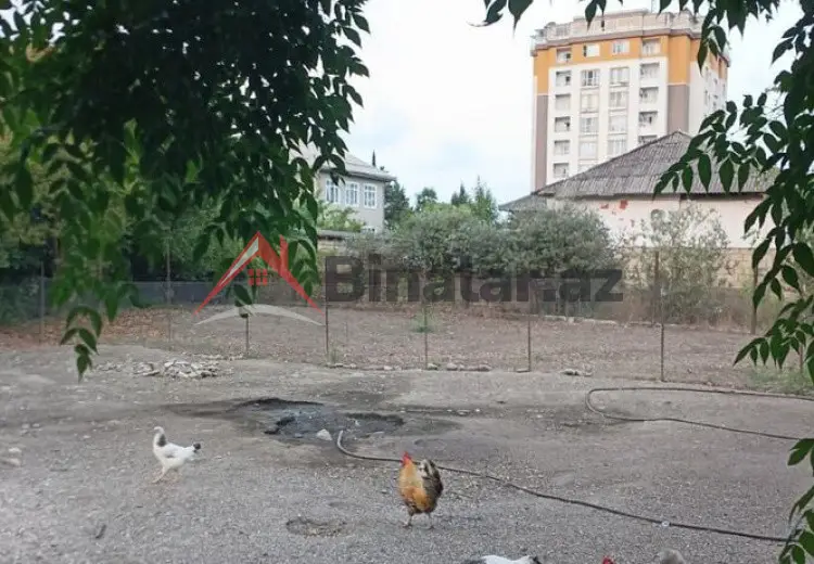 3 sot Torpaq Satılır, Astara
