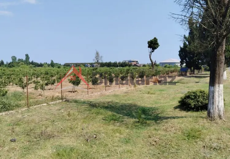 0 sot Torpaq Satılır, Astara