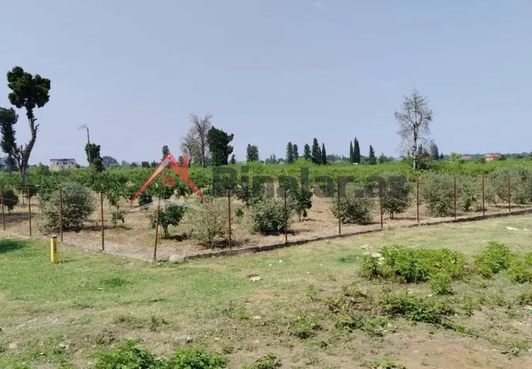 0 sot Torpaq Satılır, Astara