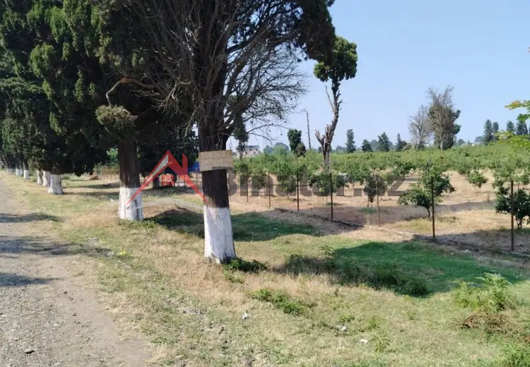 0 sot Torpaq Satılır, Astara