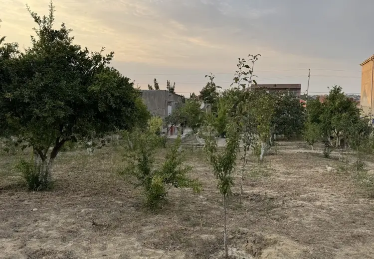 12 sot Torpaq Satılır, Saray, Abşeron