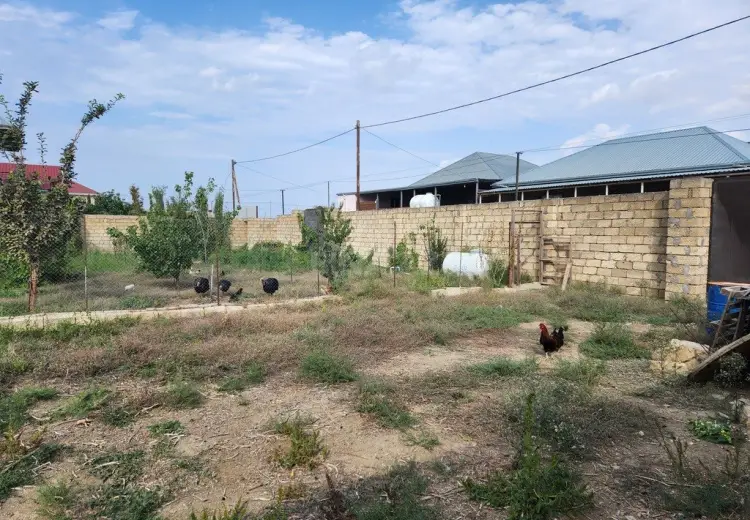 8 sot Torpaq Satılır, Güzdək, Abşeron