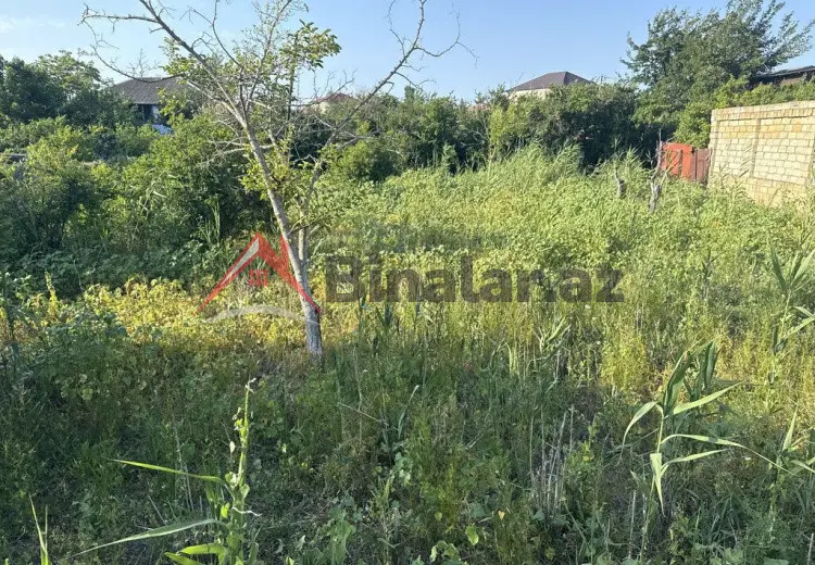 8 sot Torpaq Satılır, Novxanı, Abşeron