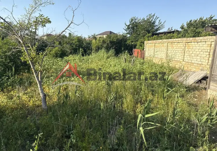 8 sot Torpaq Satılır, Novxanı, Abşeron