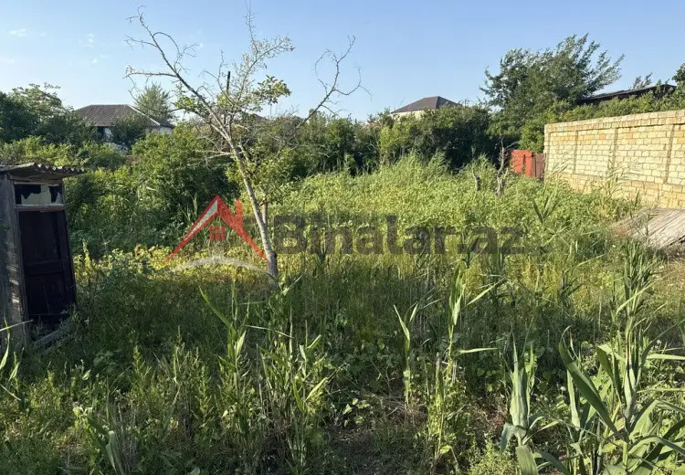 8 sot Torpaq Satılır, Novxanı, Abşeron