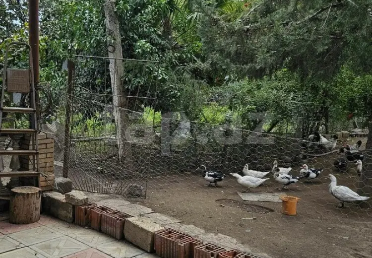 5 otaqlı mənzil , Bakı