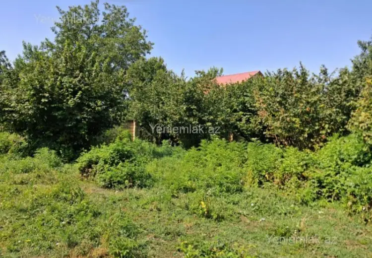 10 sot Torpaq Satılır, Qəbələ