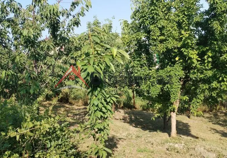 10 sot Torpaq Satılır, Quba