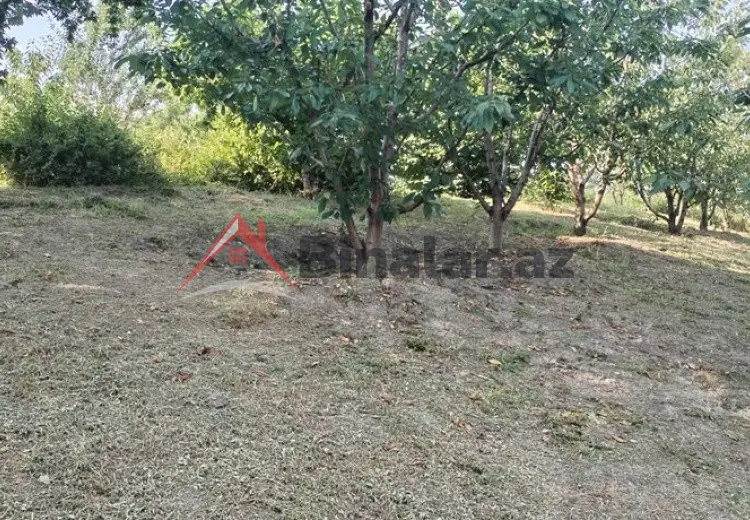 10 sot Torpaq Satılır, Quba
