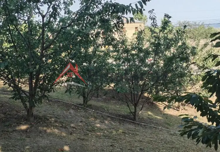 10 sot Torpaq Satılır, Quba