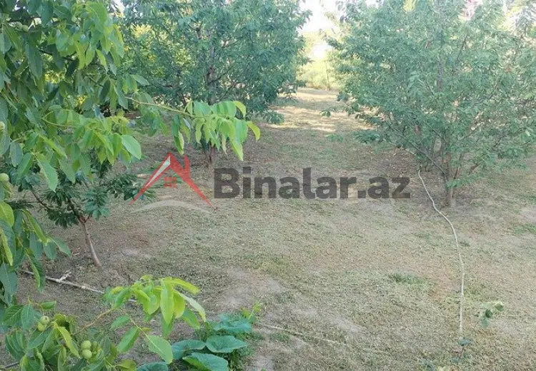 10 sot Torpaq Satılır, Quba