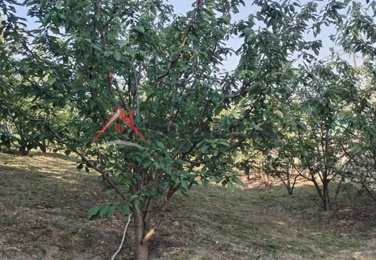 0 sot Torpaq Satılır, Quba