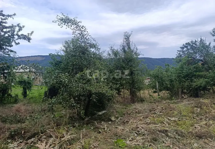 0 m² Obyekt / Ofis , Bakı