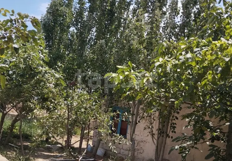 0 m² Obyekt / Ofis , Badamdar qəs., Səbail, Bakı