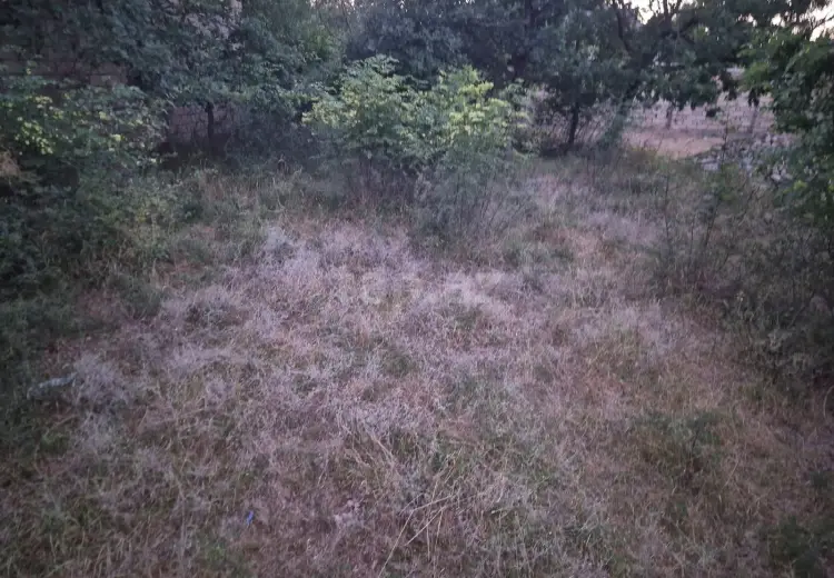 0 m² Obyekt / Ofis , Bakı