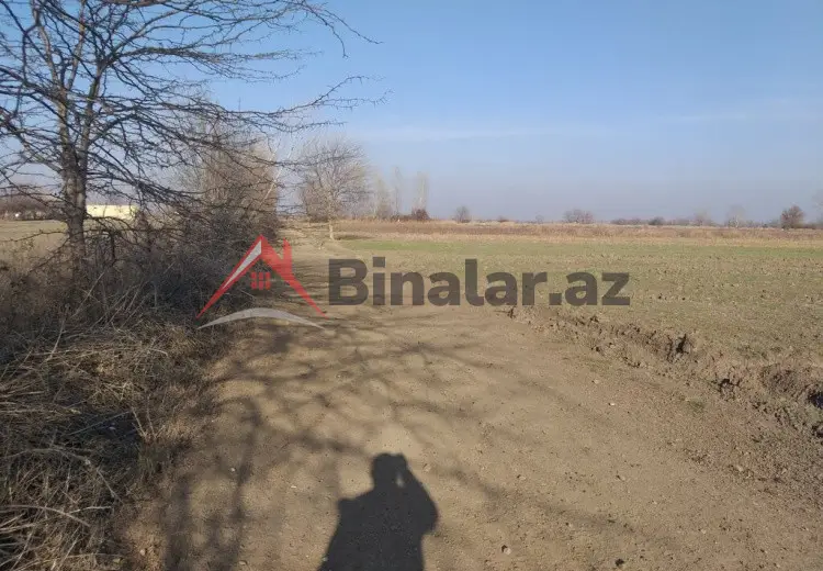 231 sot Torpaq Satılır, Tərtər