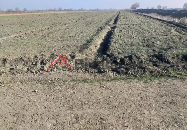 231 sot Torpaq Satılır, Tərtər