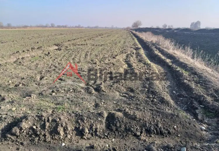 231 sot Torpaq Satılır, Tərtər