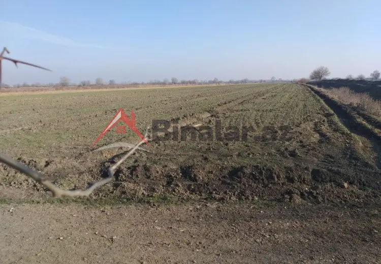 231 sot Torpaq Satılır, Tərtər