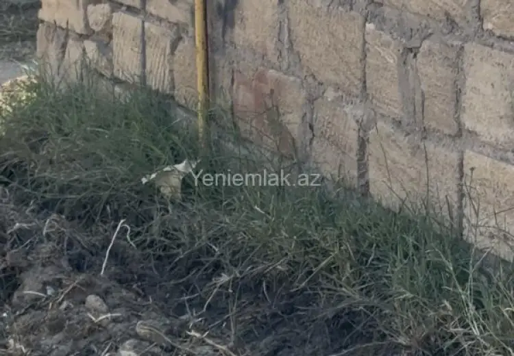 5.2 sot Torpaq Satılır, Saray, Abşeron