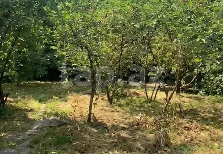 7 otaqlı mənzil , Quba