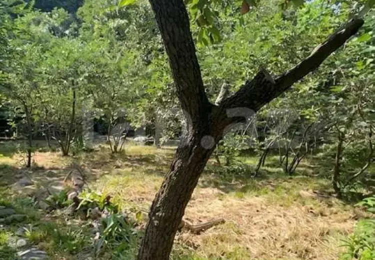 7 otaqlı mənzil , Quba