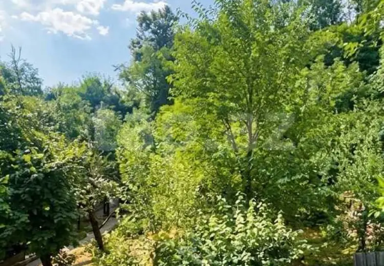 7 otaqlı mənzil , Quba