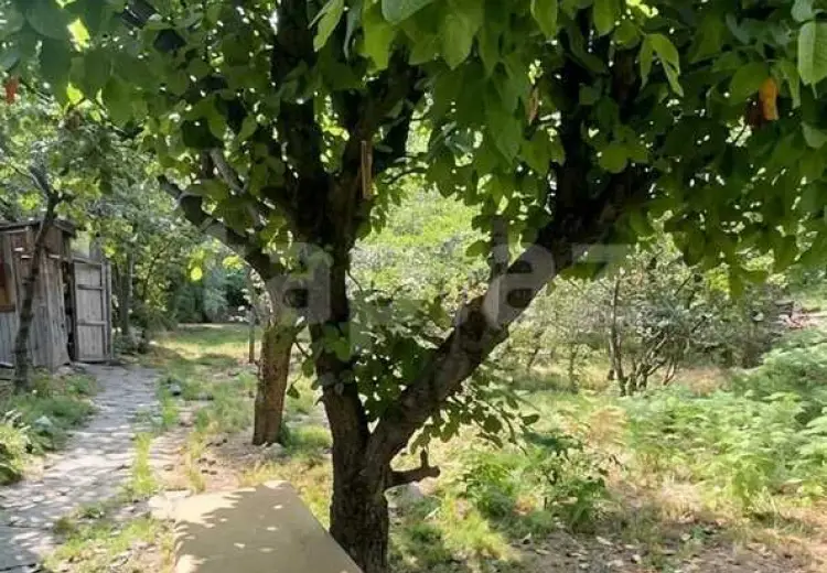7 otaqlı mənzil , Quba