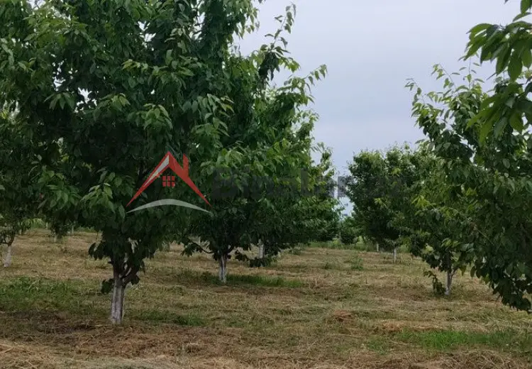 200 sot Torpaq Satılır, Quba