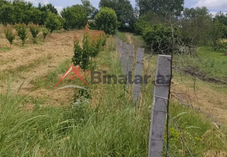 200 sot Torpaq Satılır, Quba