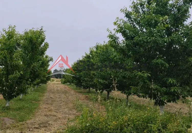 200 sot Torpaq Satılır, Quba