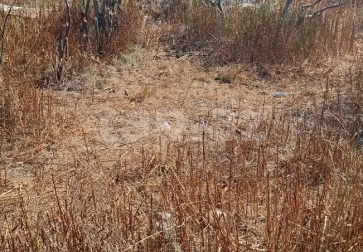 0 m² Obyekt / Ofis , Sumqayıt