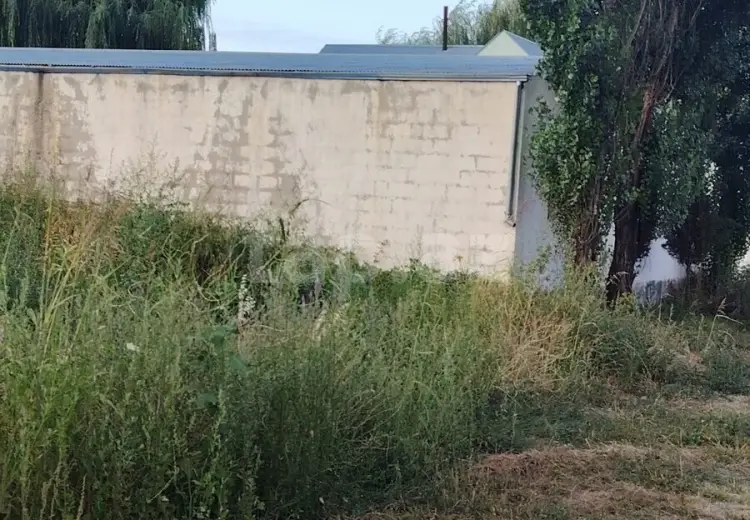 0 m² Obyekt / Ofis , Qusar