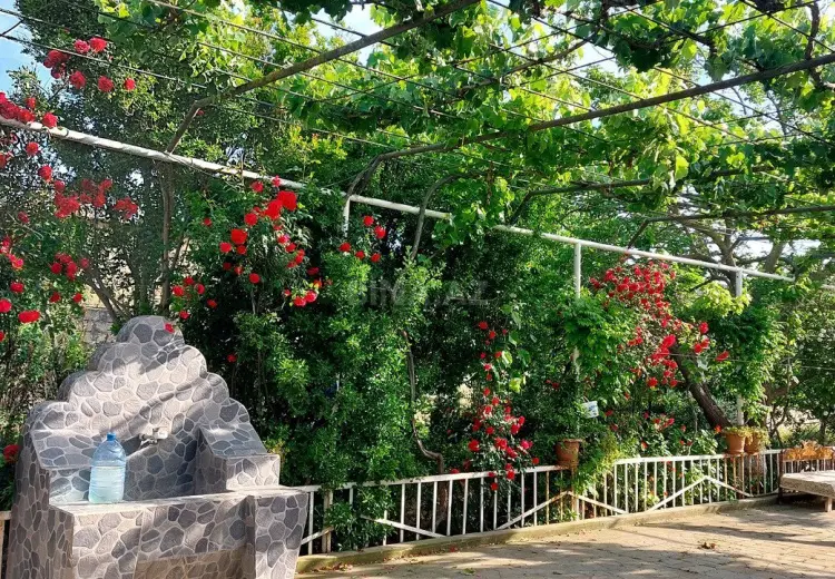5 sot Torpaq Satılır, Buzovna, Xəzər, Bakı