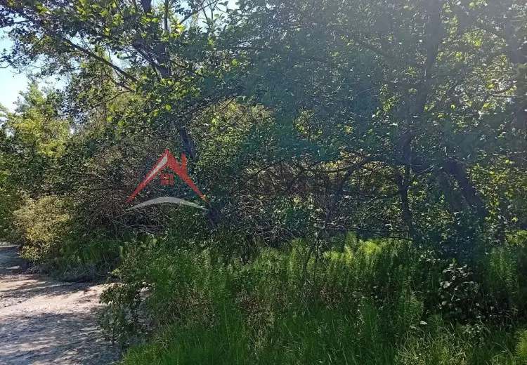 38 sot Torpaq Satılır, Oğuz