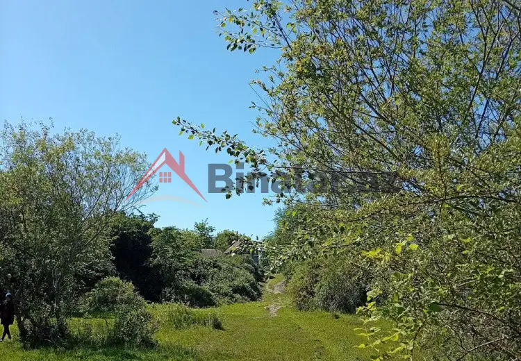 38 sot Torpaq Satılır, Oğuz