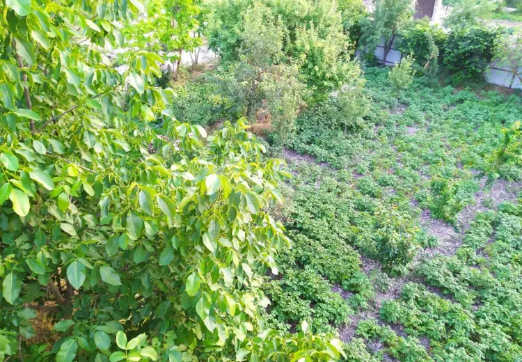 4 otaqlı mənzil , Şamaxı