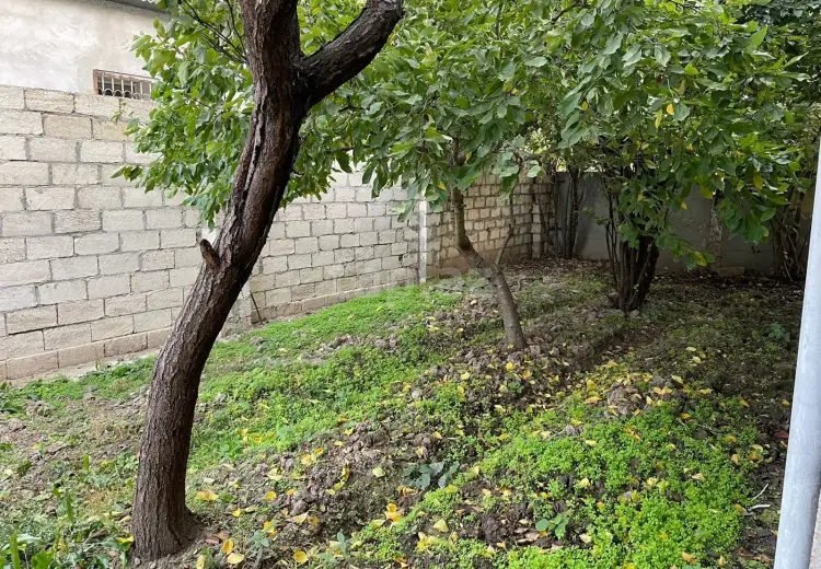 6 otaqlı mənzil , Bakı