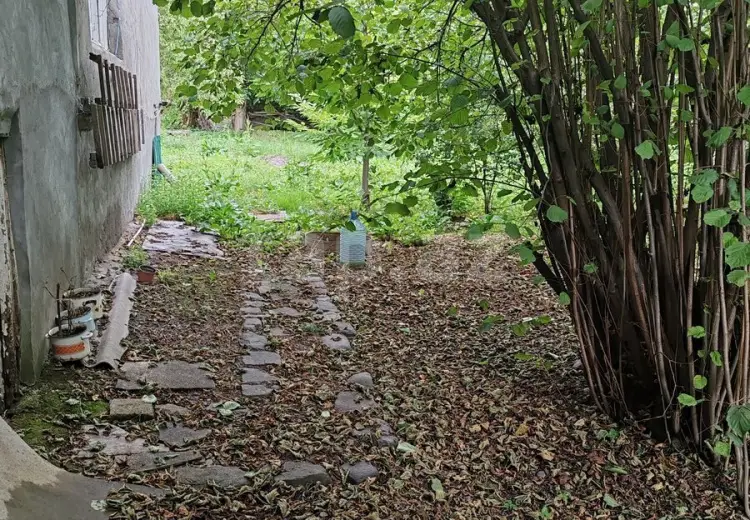 0 m² Obyekt / Ofis , Qəbələ